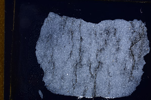 Cross Polarized, E12581