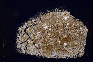 Cross Polarized, E12606