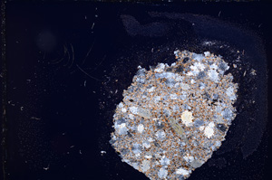 Cross Polarized, E12613