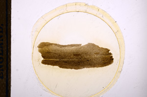 Plane Polarized, E12647