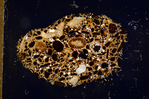 Cross Polarized, E12659