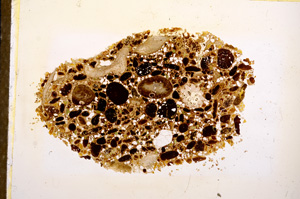 Plane Polarized, E12659