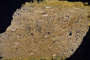 Cross Polarized, E12673