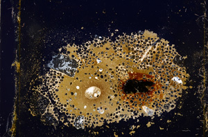 Cross Polarized, E12679