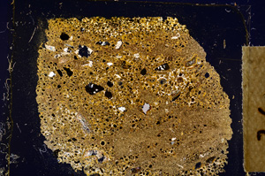 Cross Polarized, E12680