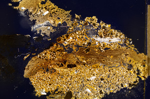 Cross Polarized, E12682