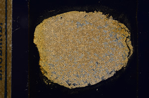 Cross Polarized, E12693