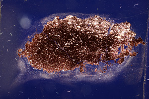 Cross Polarized, E12703