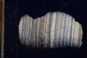 Cross Polarized, E12706