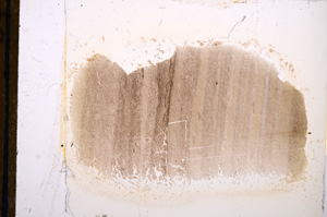 Plane Polarized, E12706