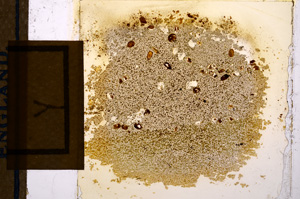 Plane Polarized, E12720