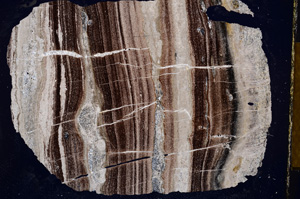 Cross Polarized, E12740