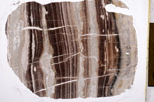 Plane Polarized, E12740