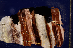 Cross Polarized, E12740/A