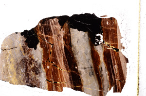 Plane Polarized, E12740/A