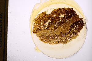 Plane Polarized, E12747