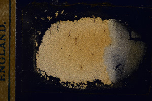 Cross Polarized, E12750