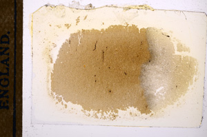 Plane Polarized, E12750