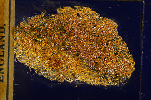 Cross Polarized, E12751