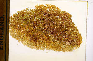 Plane Polarized, E12751