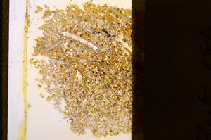 Plane Polarized, E12754