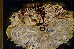 Cross Polarized, E12817