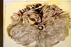 Plane Polarized, E12817