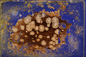 Cross Polarized, E12819