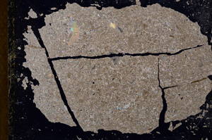 Cross Polarized, E12875
