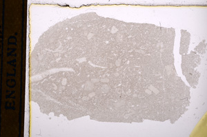 Plane Polarized, E12878