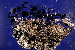 Cross Polarized, E12905