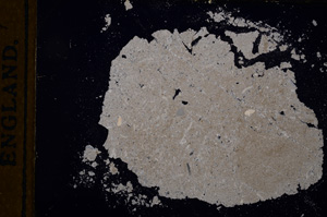 Cross Polarized, E12915