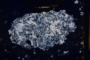 Cross Polarized, E12946