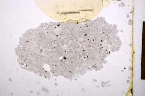 Plane Polarized, E12946