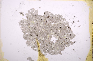 Plane Polarized, E12947