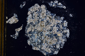 Cross Polarized, E12948