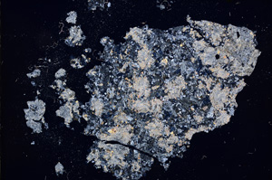 Cross Polarized, E12949