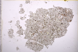 Plane Polarized, E12949