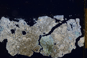 Cross Polarized, E12953