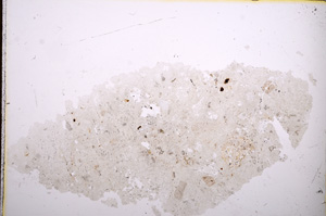 Plane Polarized, E12955