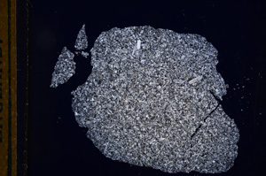 Cross Polarized, E12978