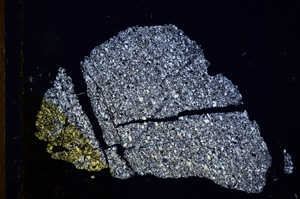 Cross Polarized, E12979