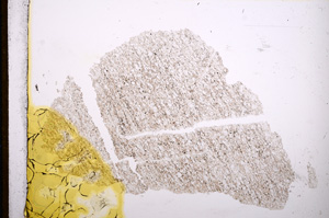 Plane Polarized, E12979