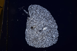 Cross Polarized, E12980