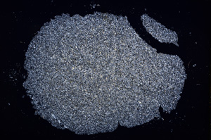 Cross Polarized, E12981