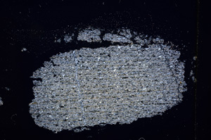 Cross Polarized, E12982