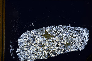 Cross Polarized, E13010