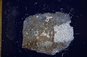 Cross Polarized, E13013