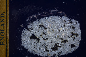 Cross Polarized, E13019