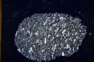 Cross Polarized, E13026